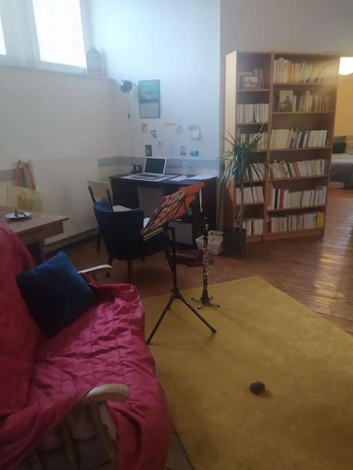 Chambre Dans Appartement De Caractere Dole Zewnętrze zdjęcie